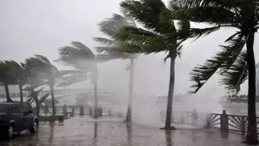 8月臺風雨即將來，除濕機還得用起來
