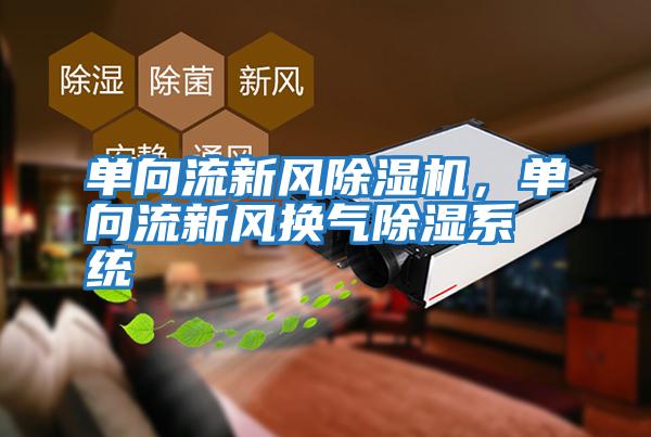 單向流新風除濕機，單向流新風換氣除濕系統