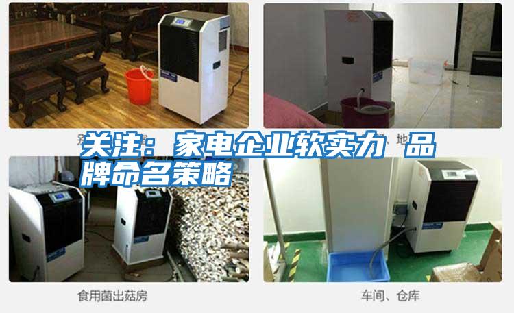 關注：家電企業(yè)軟實力 品牌命名策略