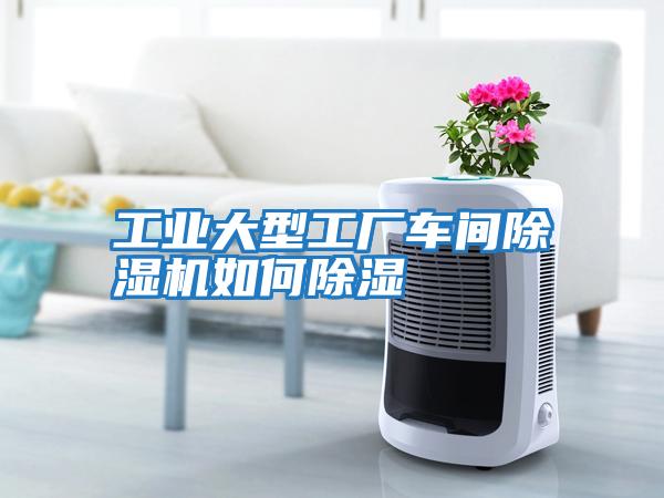 工業大型工廠車間除濕機如何除濕