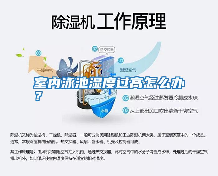 室內泳池濕度過高怎么辦？