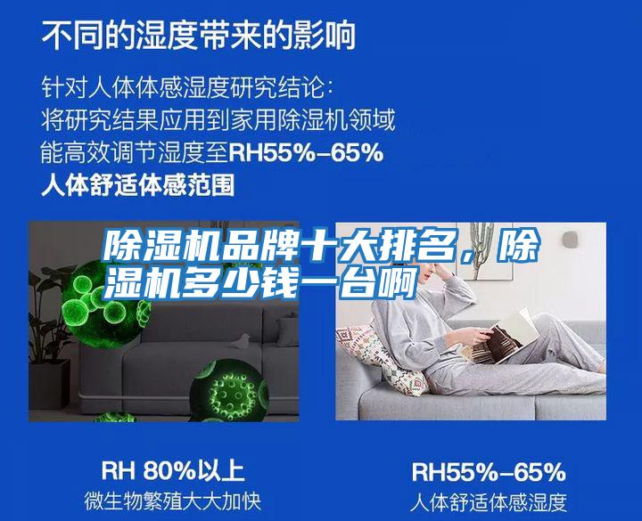 除濕機品牌十大排名，除濕機多少錢一臺啊
