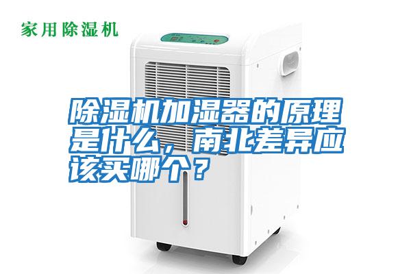 除濕機(jī)加濕器的原理是什么，南北差異應(yīng)該買哪個(gè)？