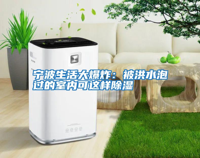 寧波生活大爆炸：被洪水泡過的室內可這樣除濕