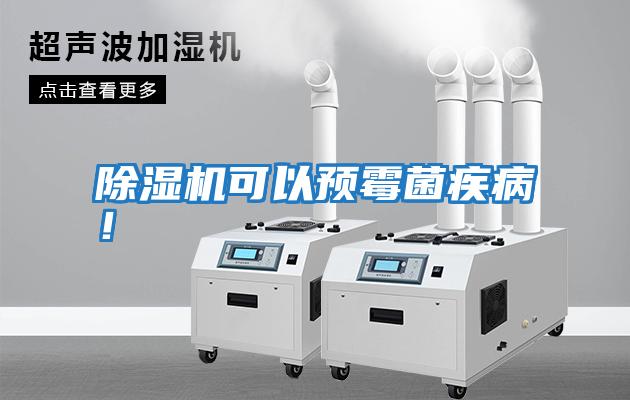 除濕機可以預霉菌疾病！