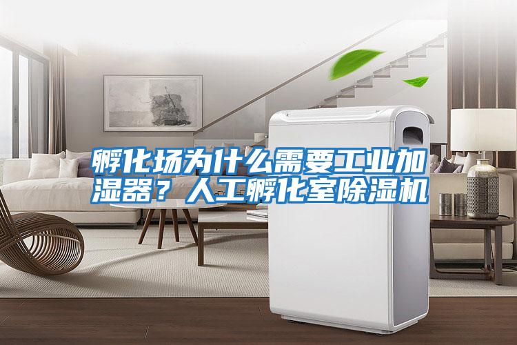 孵化場為什么需要工業加濕器？人工孵化室除濕機