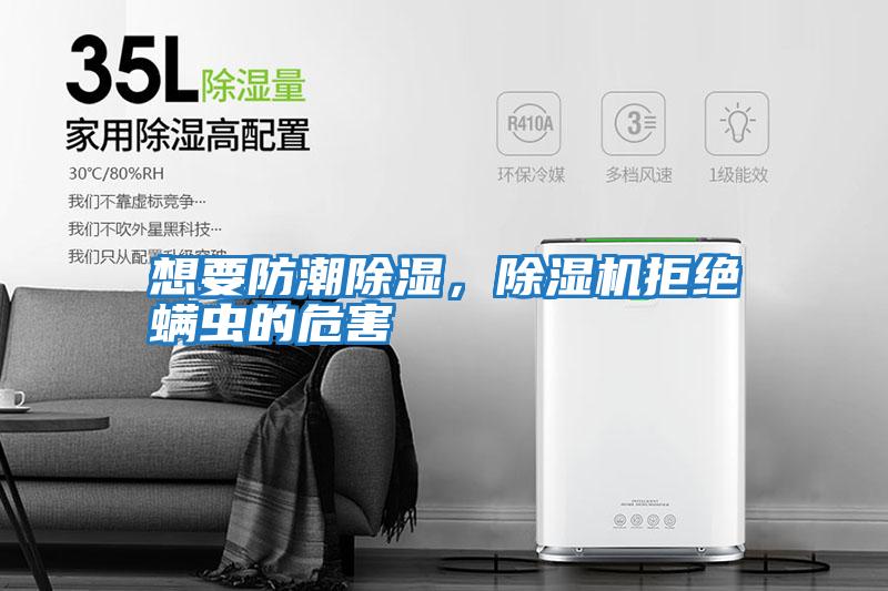 想要防潮除濕，除濕機拒絕螨蟲的危害