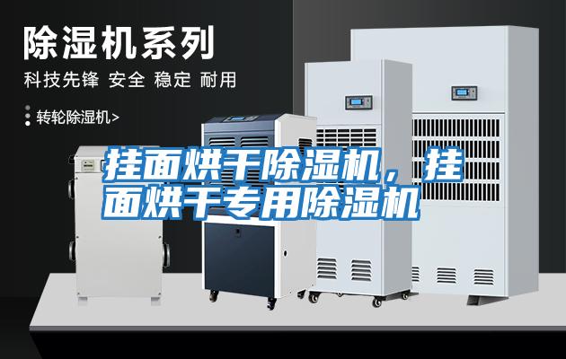 掛面烘干除濕機(jī)，掛面烘干專用除濕機(jī)