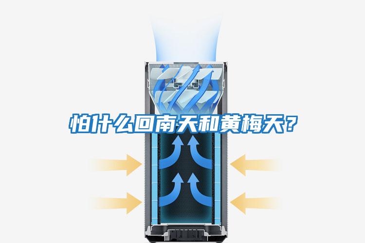 怕什么回南天和黃梅天？