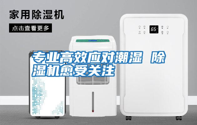 專業(yè)高效應(yīng)對(duì)潮濕 除濕機(jī)愈受關(guān)注