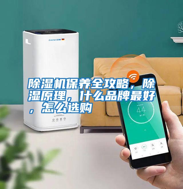 除濕機(jī)保養(yǎng)全攻略，除濕原理，什么品牌最好，怎么選購