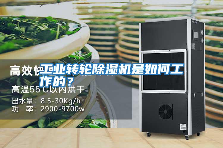 工業轉輪除濕機是如何工作的？