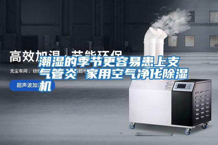 潮濕的季節更容易患上支氣管炎 家用空氣凈化除濕機