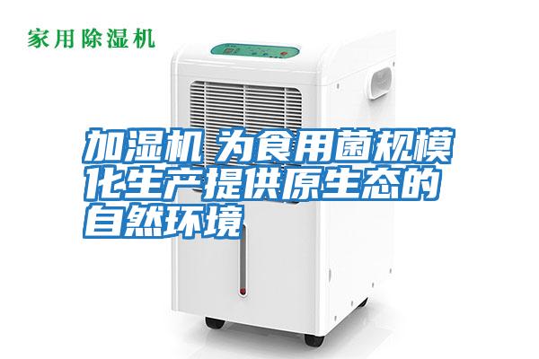 加濕機　為食用菌規模化生產提供原生態的自然環境