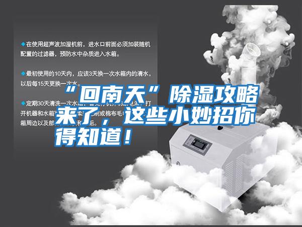 “回南天”除濕攻略來了，這些小妙招你得知道！