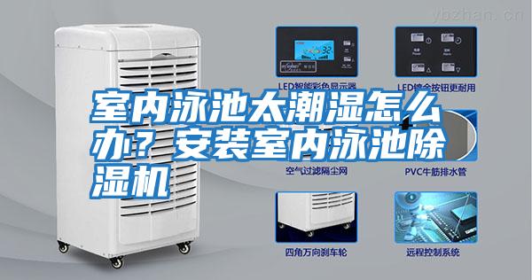 室內泳池太潮濕怎么辦？安裝室內泳池除濕機