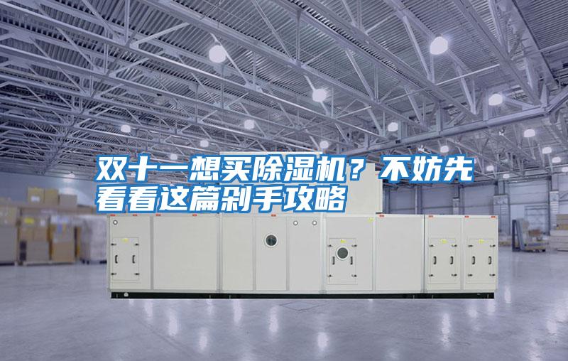 雙十一想買除濕機？不妨先看看這篇剁手攻略