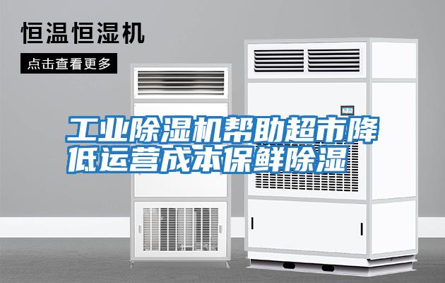 工業除濕機幫助超市降低運營成本保鮮除濕