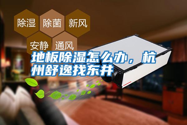 地板除濕怎么辦，杭州舒逸找東井