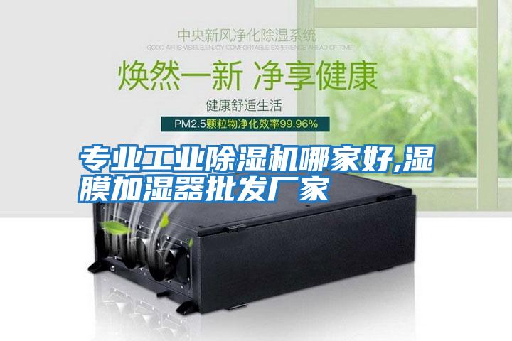 專(zhuān)業(yè)工業(yè)除濕機(jī)哪家好,濕膜加濕器批發(fā)廠(chǎng)家