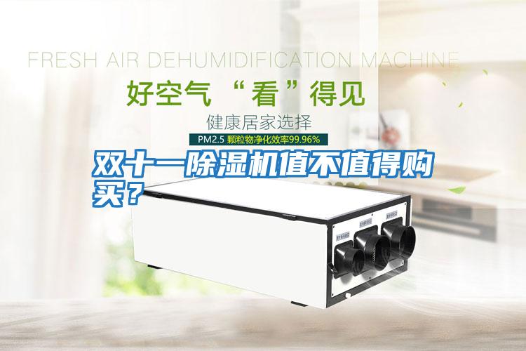 雙十一除濕機值不值得購買？