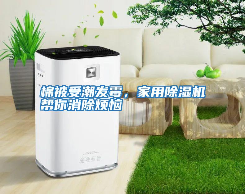 棉被受潮發霉，家用除濕機幫你消除煩惱