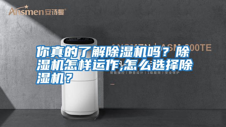 你真的了解除濕機(jī)嗎？除濕機(jī)怎樣運(yùn)作,怎么選擇除濕機(jī)？