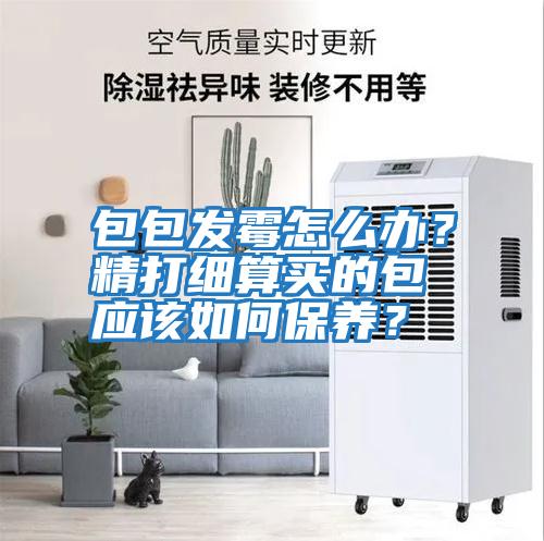 包包發霉怎么辦？精打細算買的包應該如何保養？