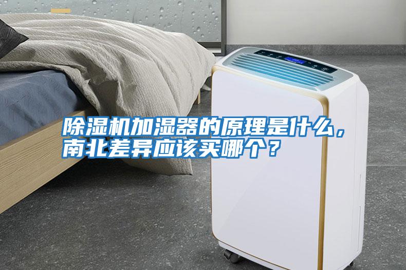 除濕機(jī)加濕器的原理是什么，南北差異應(yīng)該買哪個(gè)？