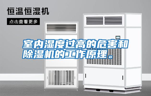 室內濕度過高的危害和除濕機的工作原理。