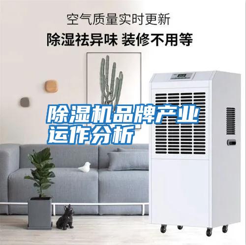 除濕機品牌產業運作分析