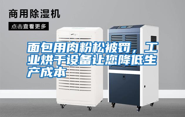 面包用肉粉松被罰，工業烘干設備讓您降低生產成本