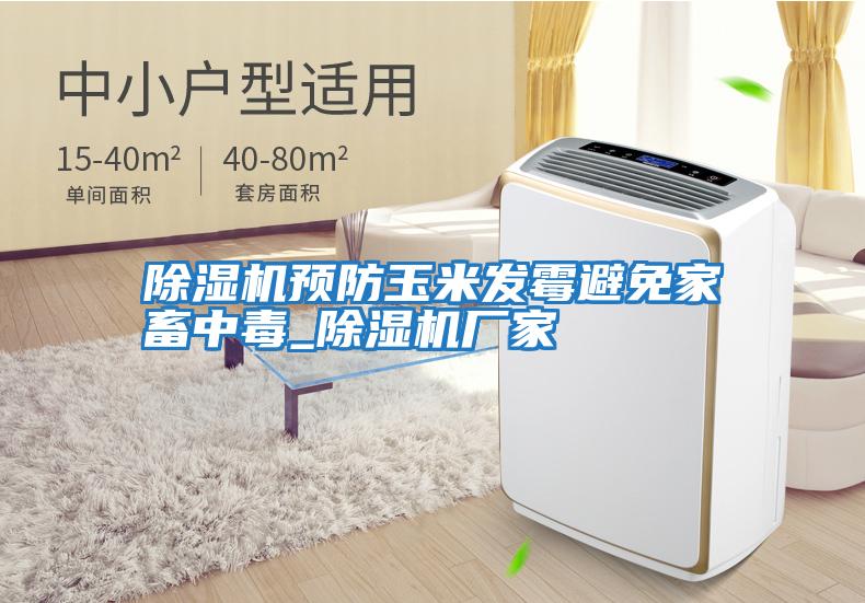 除濕機預防玉米發霉避免家畜中毒_除濕機廠家
