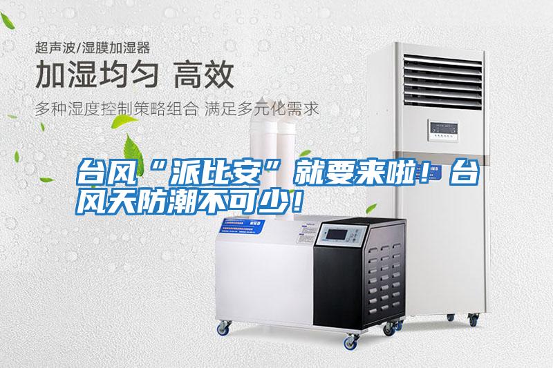 臺風“派比安”就要來啦！臺風天防潮不可少！