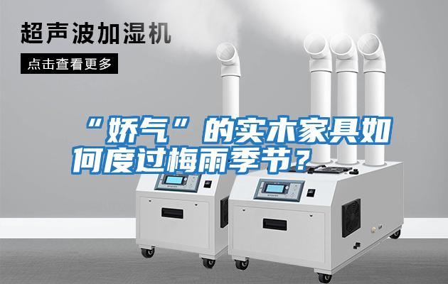 “嬌氣”的實木家具如何度過梅雨季節？