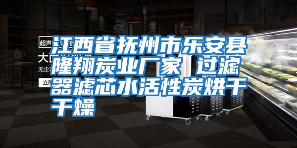 江西省撫州市樂安縣隆翔炭業廠家 過濾器濾芯水活性炭烘干干燥