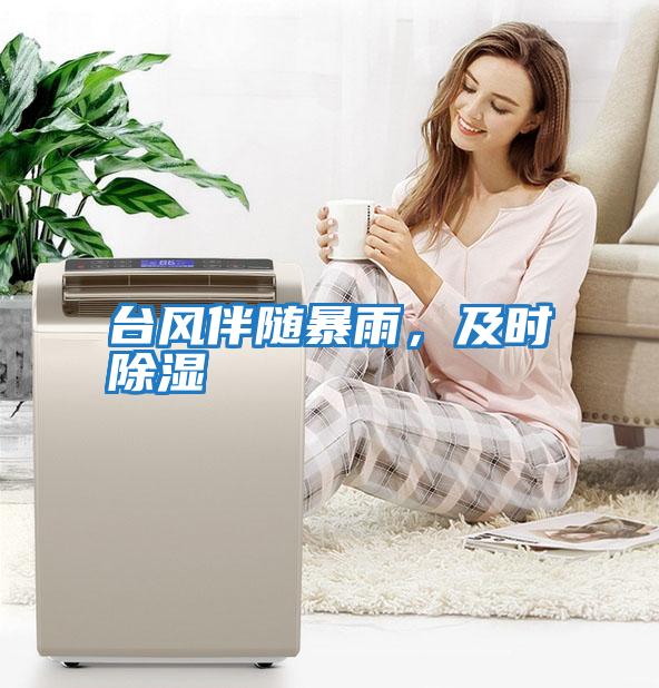 臺風伴隨暴雨，及時除濕