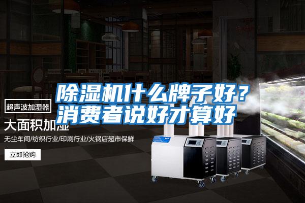 除濕機什么牌子好？消費者說好才算好