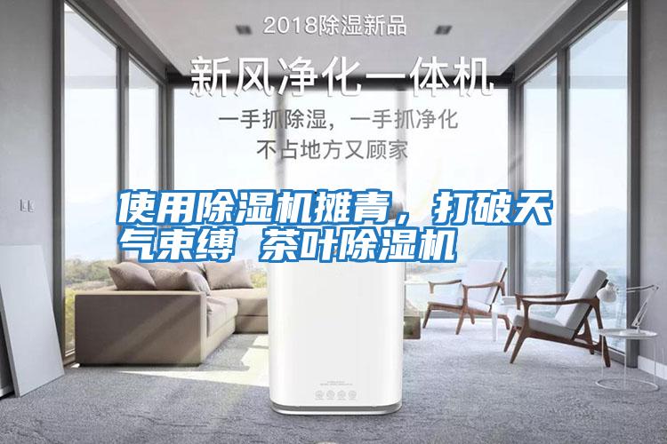 使用除濕機攤青，打破天氣束縛 茶葉除濕機