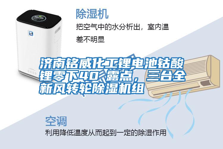 濟南銘威化工鋰電池鈷酸鋰零下40℃露點，三臺全新風轉輪除濕機組