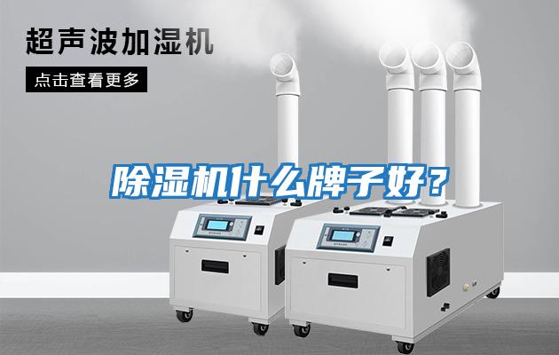 除濕機什么牌子好？