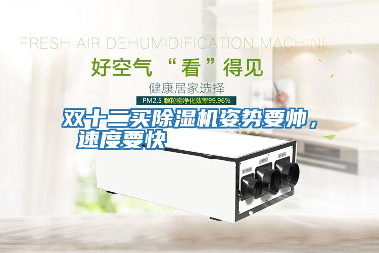 雙十二買除濕機(jī)姿勢要帥， 速度要快