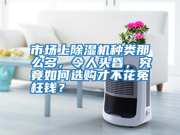 市場上除濕機種類那么多，令人頭昏，究竟如何選購才不花冤枉錢？
