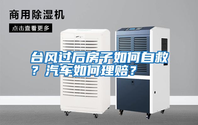臺風過后房子如何自救？汽車如何理賠？