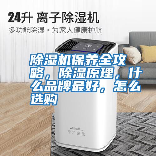 除濕機保養全攻略，除濕原理，什么品牌最好，怎么選購