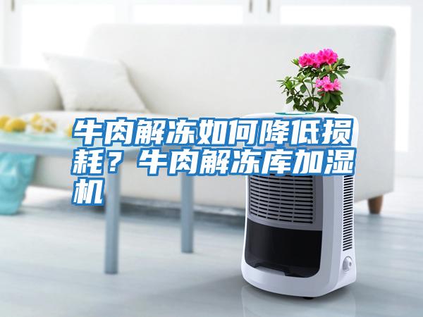 牛肉解凍如何降低損耗？牛肉解凍庫加濕機