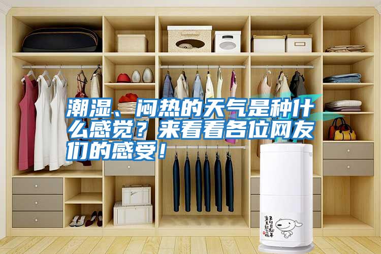 潮濕、悶熱的天氣是種什么感覺？來看看各位網(wǎng)友們的感受！