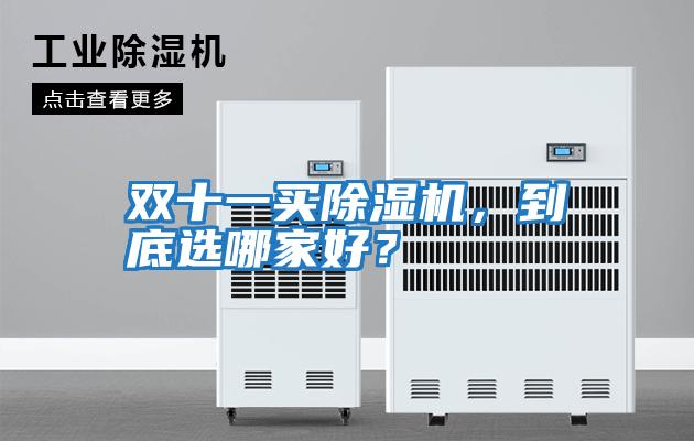 雙十一買除濕機，到底選哪家好？