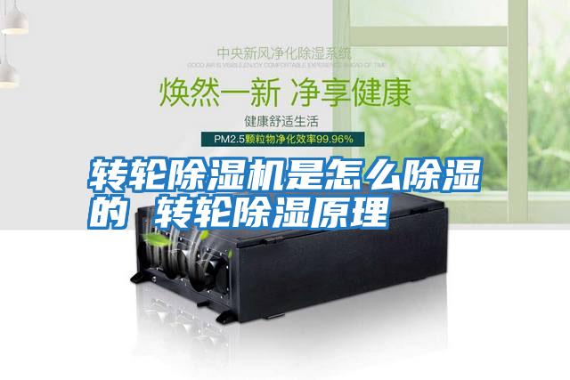 轉輪除濕機是怎么除濕的 轉輪除濕原理