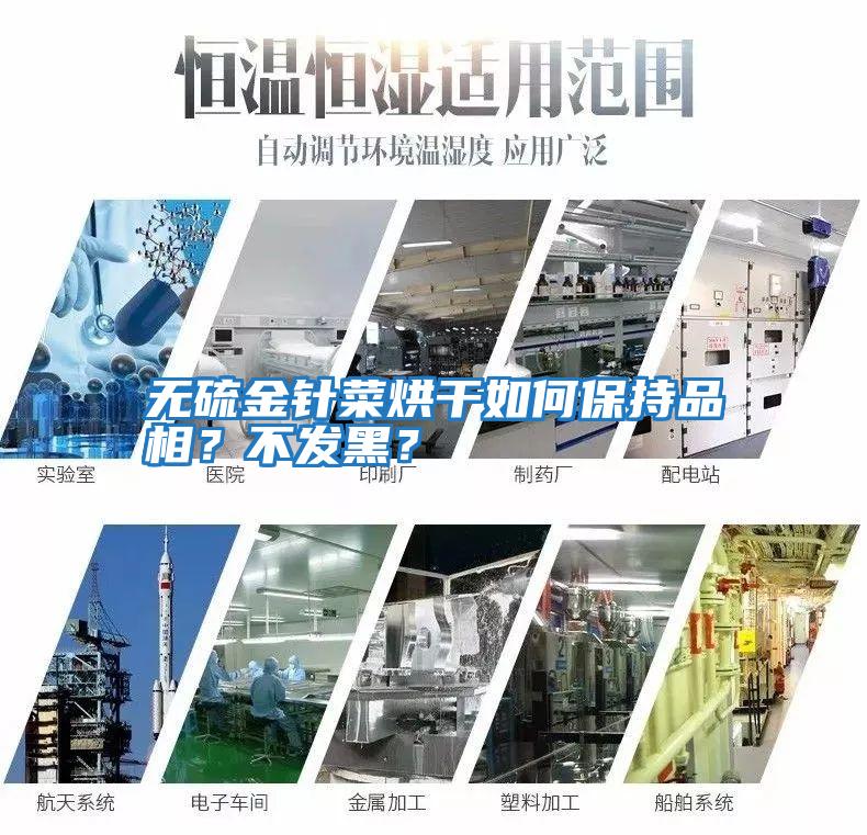 無硫金針菜烘干如何保持品相？不發黑？